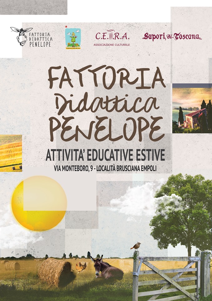 attività educative estive empoli