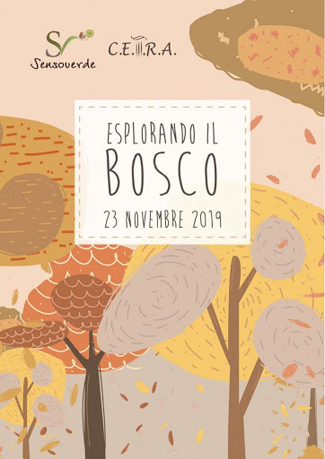 Esplorando il bosco fronte 2019